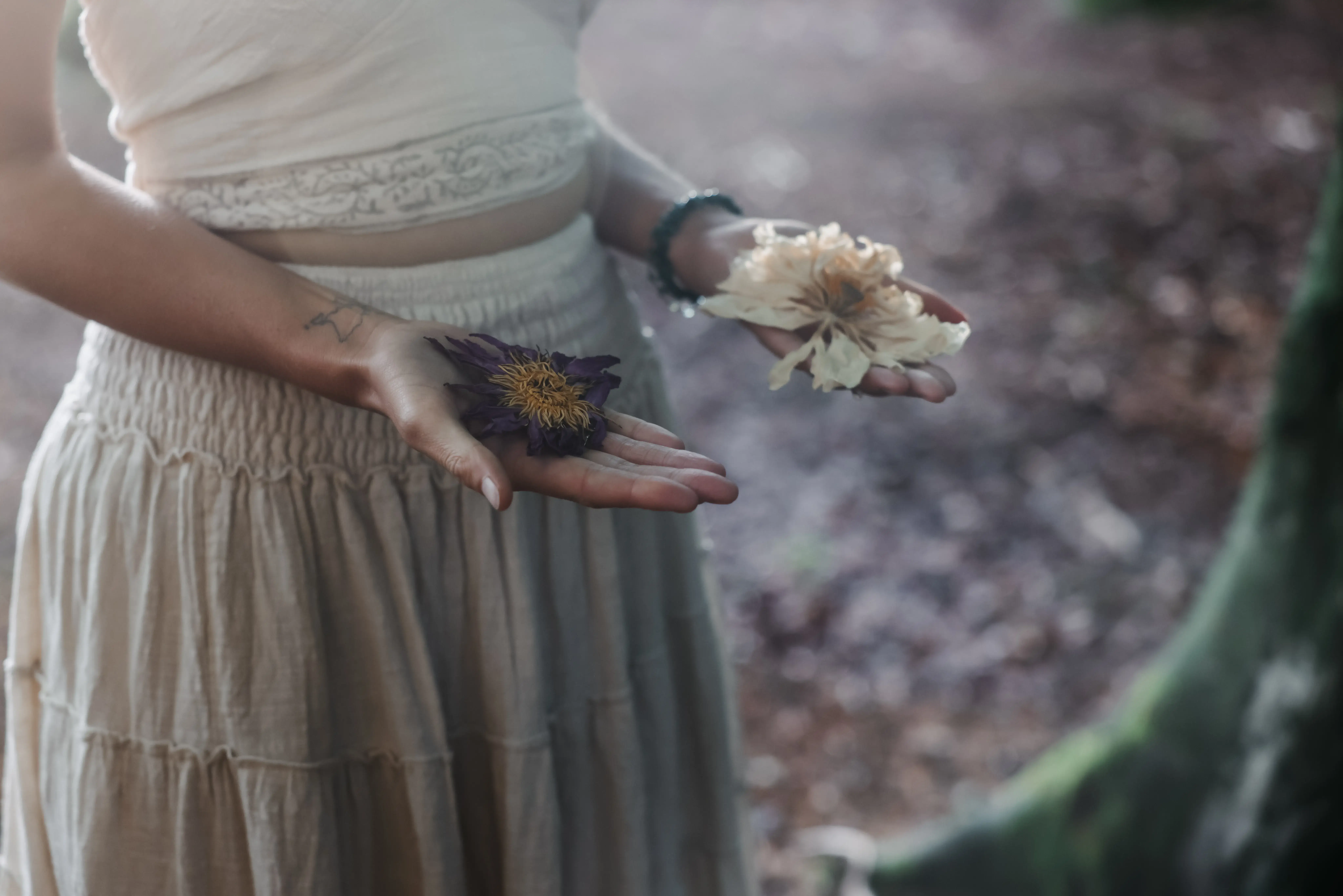 Barbara Schriek Business Coach