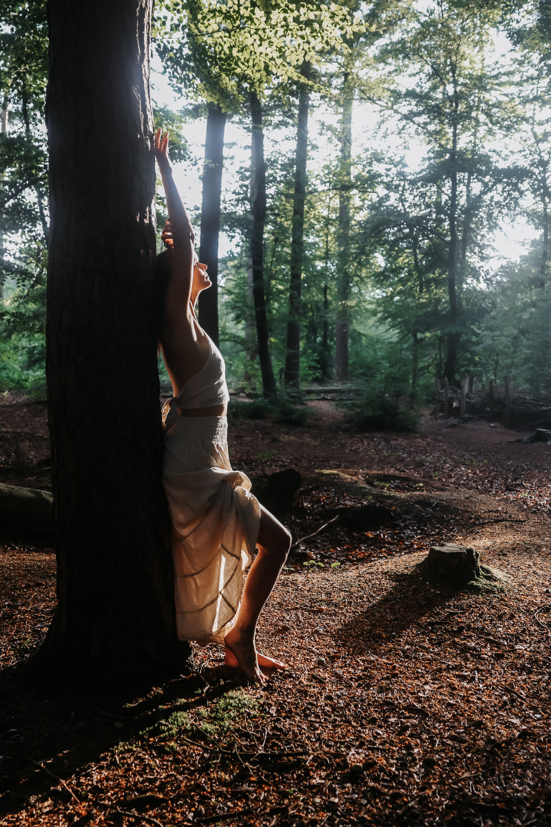 Awaken your Medicine Barbara Schriek