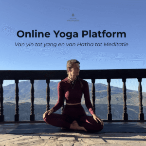 1 jaar Yoga Platform online