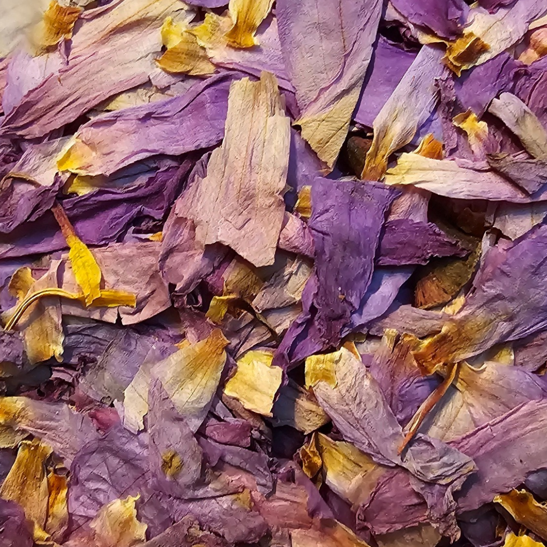Blauwe Lotus Petals - 25 gram - Afbeelding 2