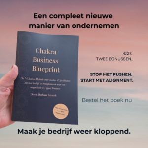 Boek: Chakra Business Blueprint